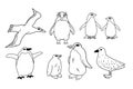 Vector black white line set of isolated animals in Antarctica. Hand drawn outline adelie, king, emperor, macaroni Royalty Free Stock Photo