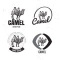 Vector black and white logo set with desert camel.
