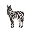 Vector Black and white outline cartoon zebra. Side view. Animal is smiling, isolated on white background Royalty Free Stock Photo