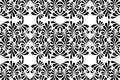 Vector BLACK WHITE PATTERN DESIGN