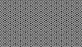 Vector black and white seamless flower pattern. Geometric texture. vector illustration. Royalty Free Stock Photo