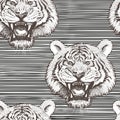 Vector black-white seamless pattern with growling tigers faces on horizontally striped background. Images of tigers are Royalty Free Stock Photo