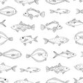 Vector black and white seamless pattern of sea fish. Royalty Free Stock Photo