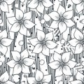 Vector black and white seamless pattern with stylized flowers and striped background Royalty Free Stock Photo