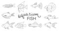 Vector black and white set of aquarium fish isolated on white background Royalty Free Stock Photo