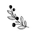 Vector black and white silhouette of a blueberry sprig with berries and leaves isolated on a white background.