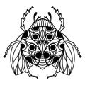 Vector black and white sketch of a ladybug. Coloring book for children, adults and teenagers. A cute insect with spots