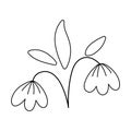 Vector black and white snowdrops icon. First blooming plants outline illustration or coloring page. Floral clip art. Cute line