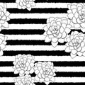 Vector black and white succulent flower striped background seamless pattern print