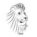 Vector Black and White Tattoo Lion Illustration