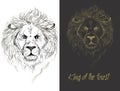 Black and White Tattoo Lion Illustration