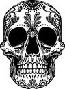 Vector Black and White Tattoo mexican Skull Illustration