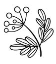 Vector black and white twig with berries. Outline autumn mountain ash branch. Contour tree branch illustration isolated on white