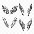 Vector Black Wing Icon Set. Vintage Angel Wings, Icons, Design Template, Clipart Collection. Cupid, Bird Wings. Vector Royalty Free Stock Photo