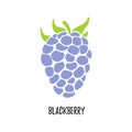 Vector. Blackberry fruit. Isolated modern sweet berry