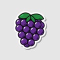 Vector blackberry sticker in cartoon style. Isolated berry