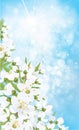 Vector blossoming spring background.