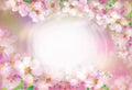 Vector floral, pink bokeh background. Floral frame. Royalty Free Stock Photo