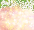 Vector blossoming spring background.