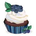 Vector bluberry cupcake, maffin,cake print,illustration. Isolated elements. Berries, leaves,cupcake Royalty Free Stock Photo