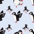 Vector blue background ocean seabird, arctic birds, puffins. Seamless pattern background Royalty Free Stock Photo