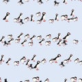Vector blue background ocean seabird, arctic birds, puffins. Seamless pattern background Royalty Free Stock Photo