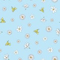 Vector blue background white yellow lemony floral seamless pattern. Daisies, Lilies. Seamless pattern background