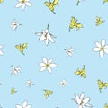 Vector blue background white yellow lemony floral seamless pattern. Daisies, Lilies. Seamless pattern background