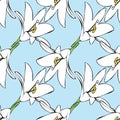 Vector blue background white yellow lemony floral seamless pattern. Lilies. Seamless pattern background