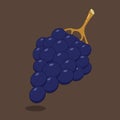 Vector blue grape isolated on background