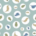 Vector Blue Green Yellow Birds on White Circles and Green Background Seamless Repeat Pattern. Background for textile Royalty Free Stock Photo