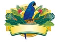 Blue macaw tropical design