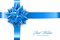 Vector Blue Realistic Bow with Ribbons Isolated on White Background