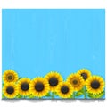 Vector Blue Wooden Board with Sunflowers