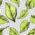 Vector Blueberry green and black engraved ink art. Green leaves. Seamless background pattern.