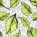 Vector Blueberry green and black engraved ink art. Green leaves. Seamless background pattern.