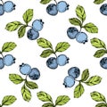 Vector Blueberry green and blue engraved ink art. Berries and green leaves. Seamless background pattern.