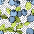 Vector Blueberry green and blue engraved ink art. Berries and green leaves. Seamless background pattern.