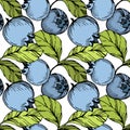 Vector Blueberry green and blue engraved ink art. Berries and green leaves. Seamless background pattern.