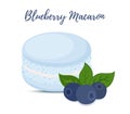 Vector blueberry macaron with meringue cream. Cartoon flat style