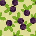 Vector blueberry Seamless Pattern featuring