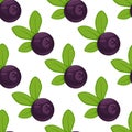 Vector blueberry Seamless Pattern featuring