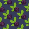 Vector blueberry Seamless Pattern featuring