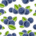 Vector Blueberry Seamless Pattern