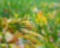 Vector blurred autumn leaves. Autumn unfocused background, web a