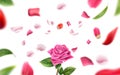 Vector blurred rose petal, leaves background 3d Royalty Free Stock Photo