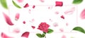 Vector blurred rose petal, leaves background 3d Royalty Free Stock Photo