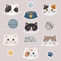 Vector boho clipart for nursery decoration with cute ÃÂute cats faces. Modern illustration. Cute stickers. Royalty Free Stock Photo