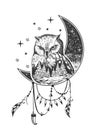 Vector boho owl tattoo or t-shirt print design