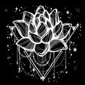Vector boho style outline trendy illustration isolated. Lotus flower on sacred geometry and a scattering of stars. Tattoo art.